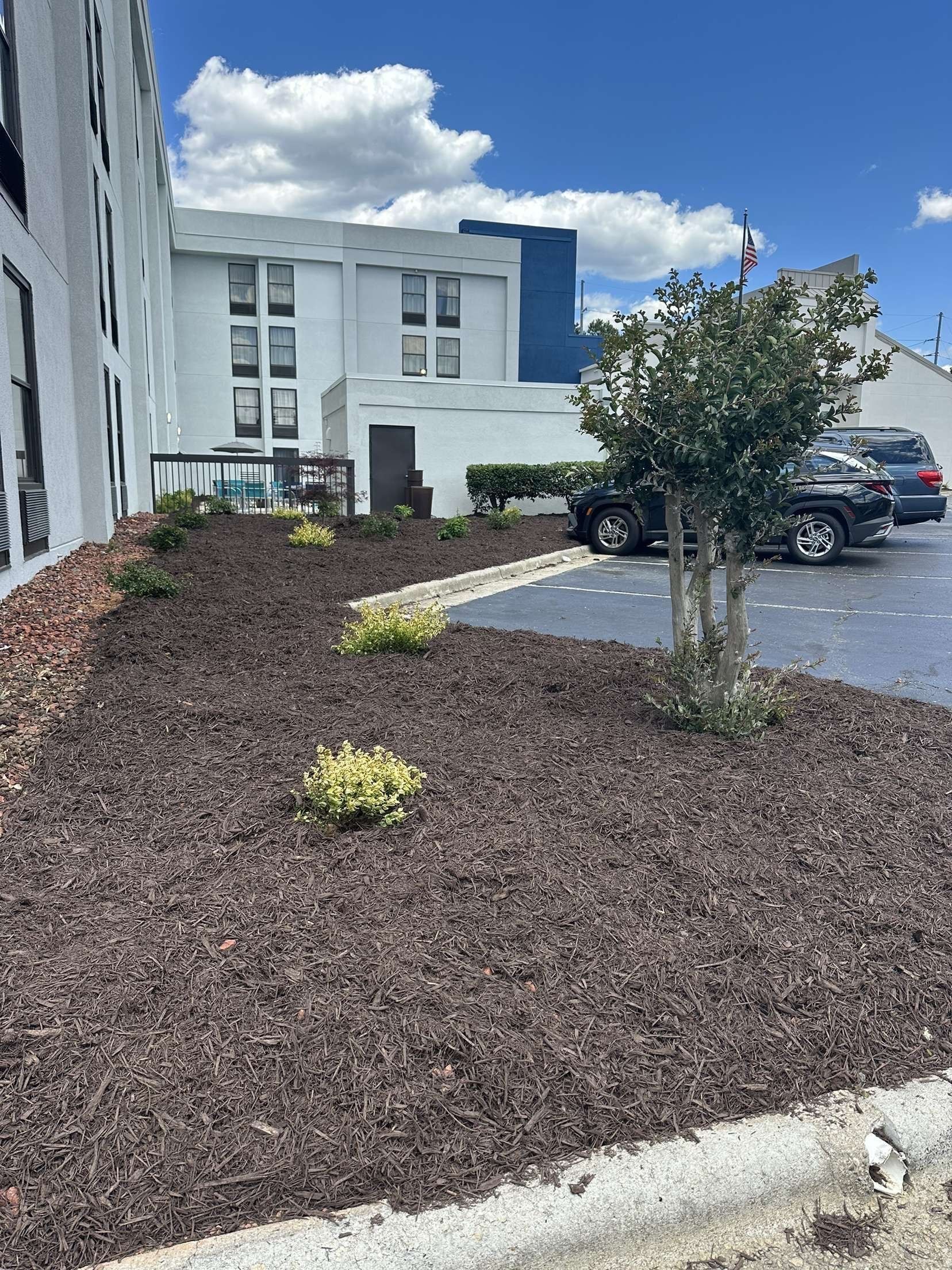 Freshly mulched beds, young shrubs and a small tree beside a commercial building's parking lot