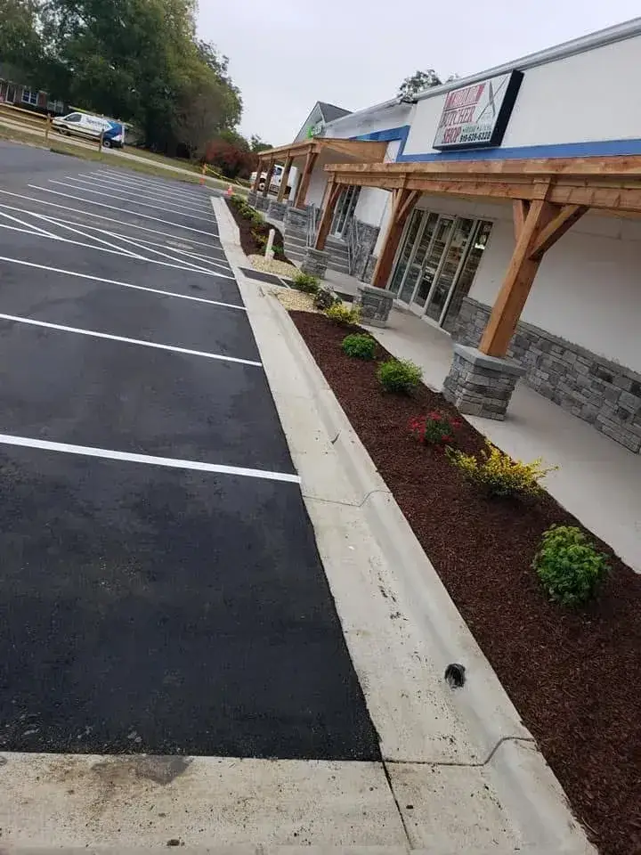 Tree & Shrub Care photo 2