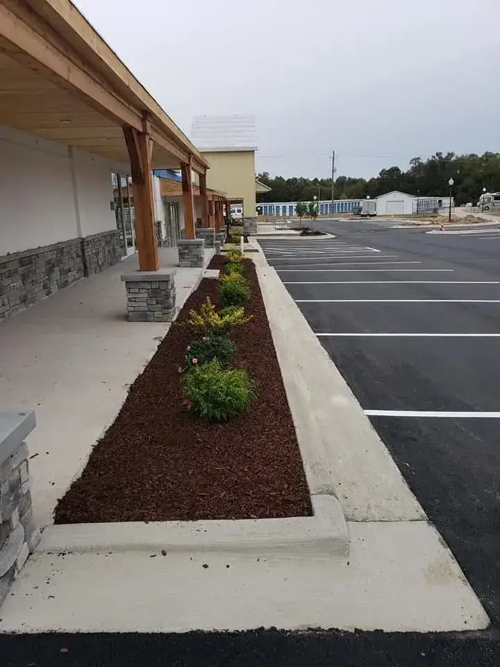 Tree & Shrub Care photo 3