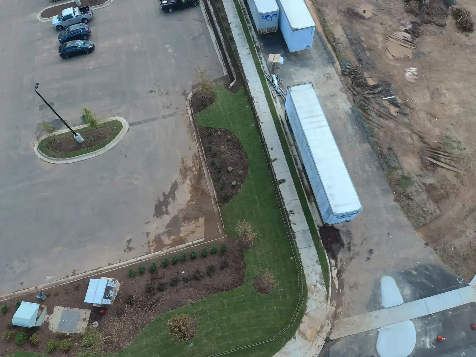 Tree & Shrub Care photo 6