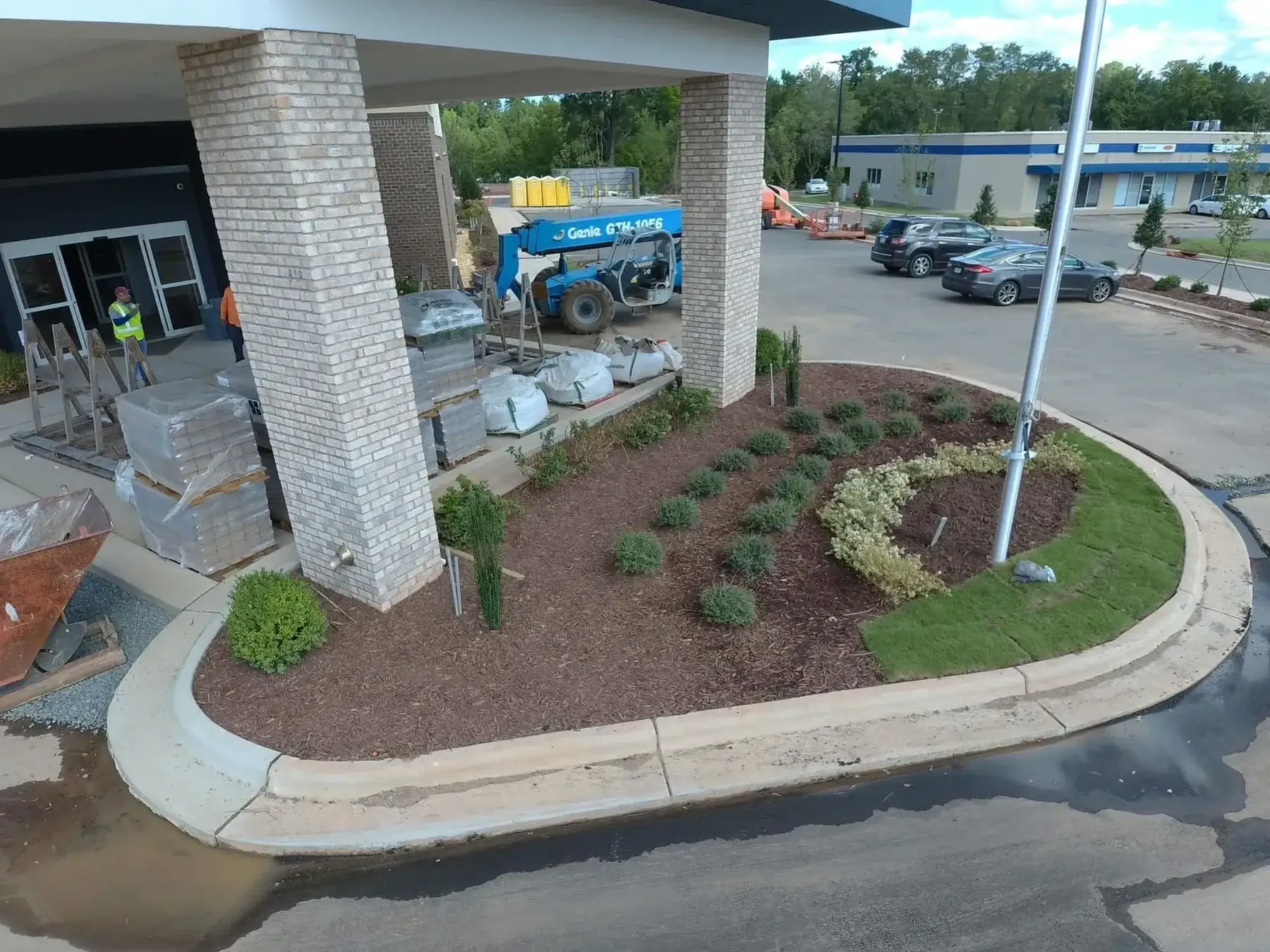 Tree & Shrub Care photo 7