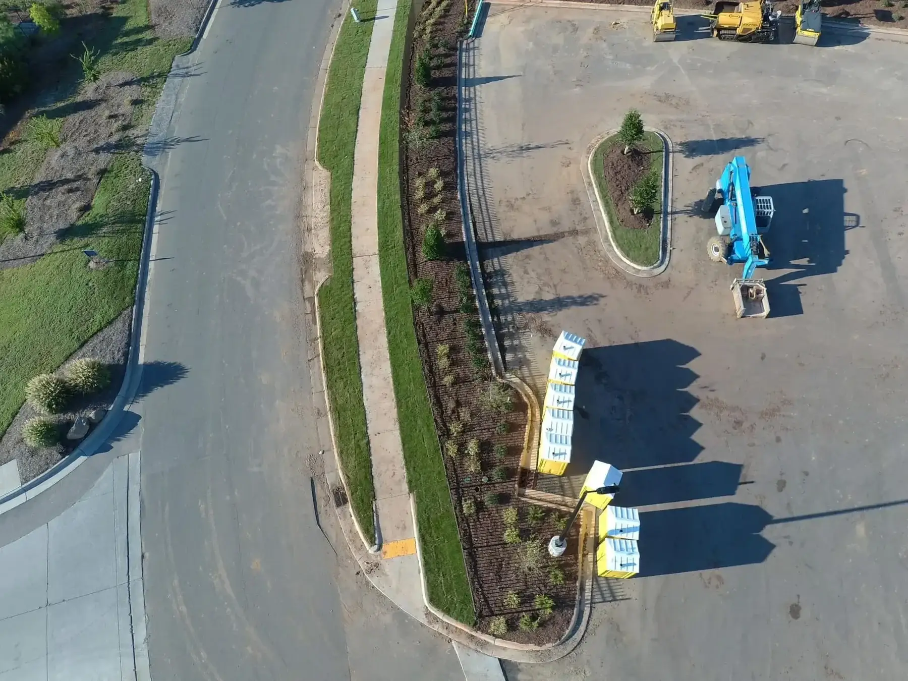 Tree & Shrub Care photo 8