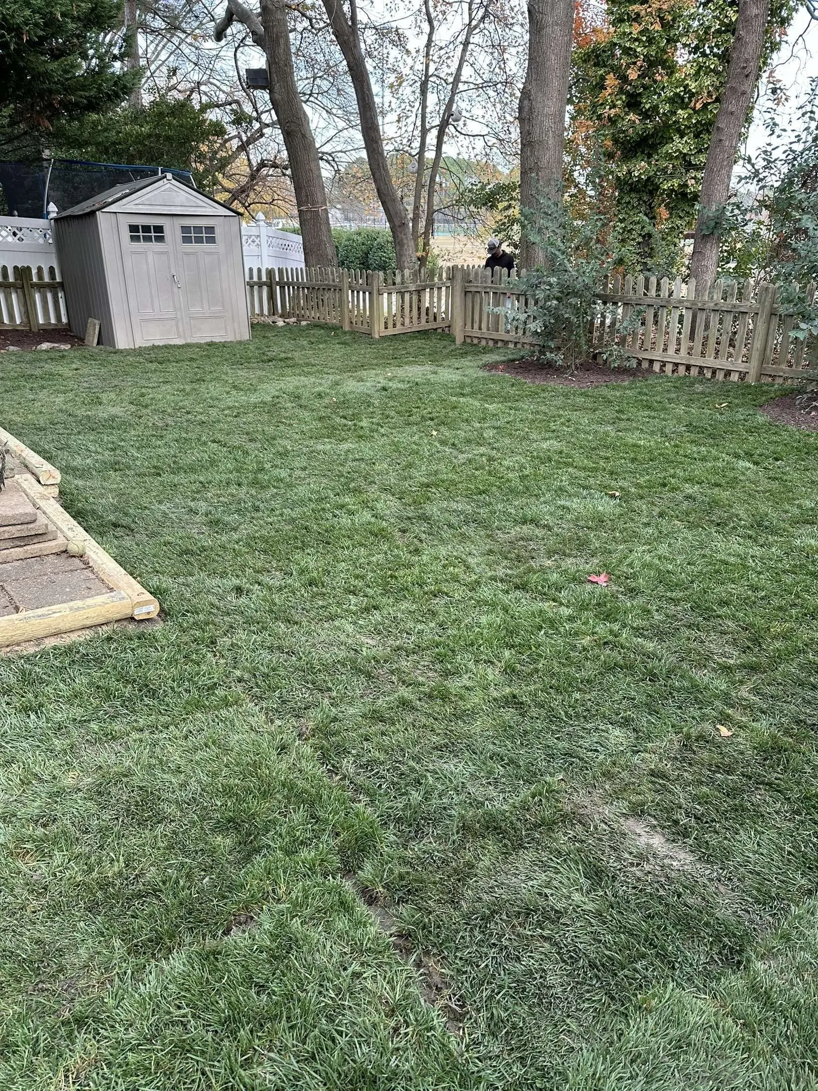 Sod – Irrigation Installation