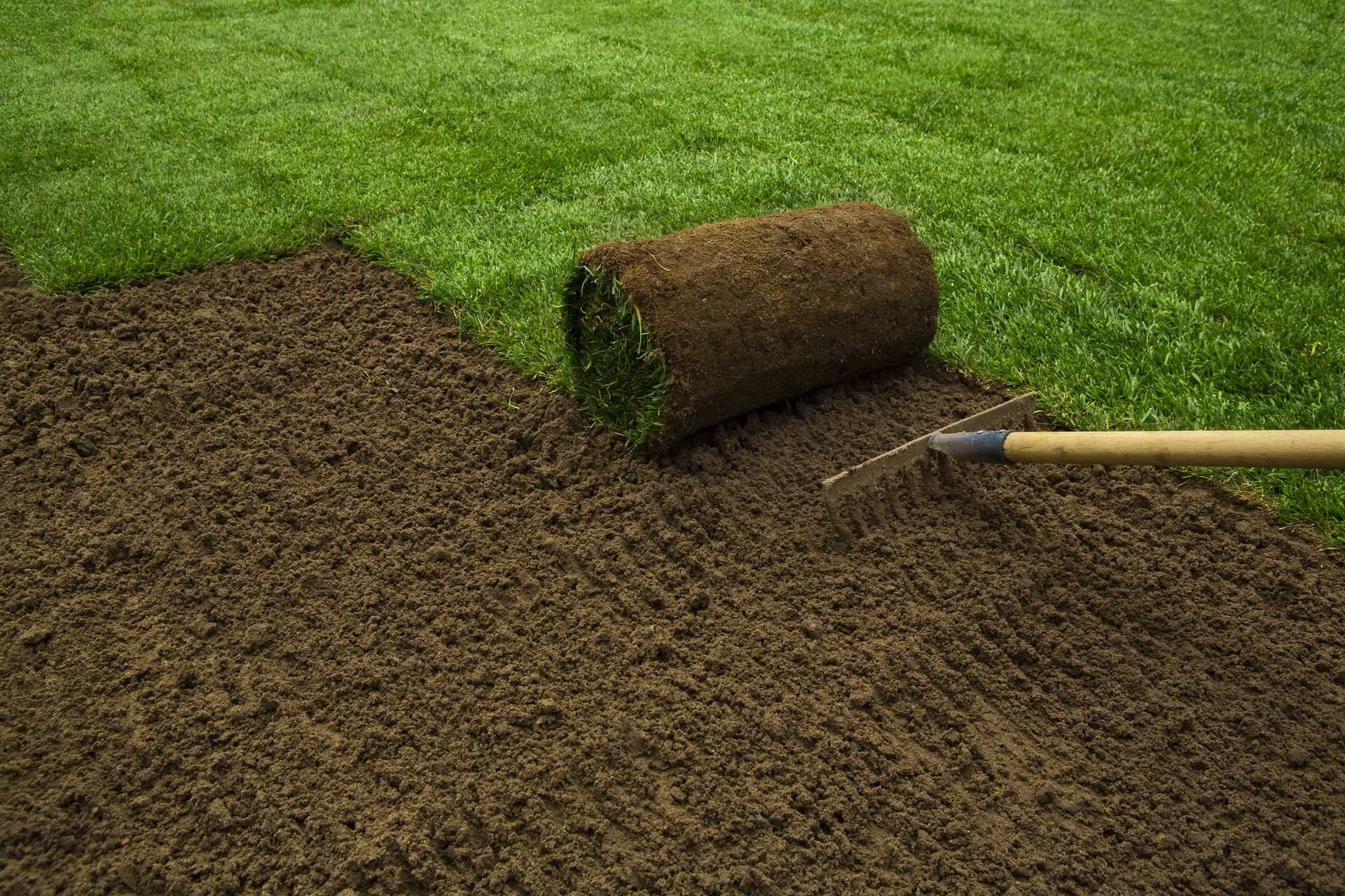 Irrigation Installation project by Miser Landscaping