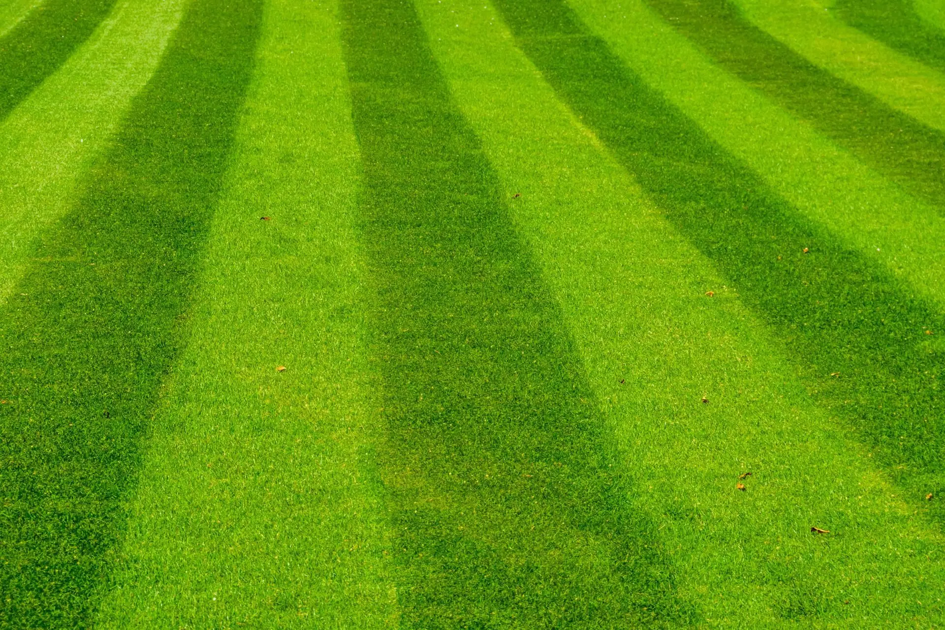 Lawn Care Services by Miser Landscaping